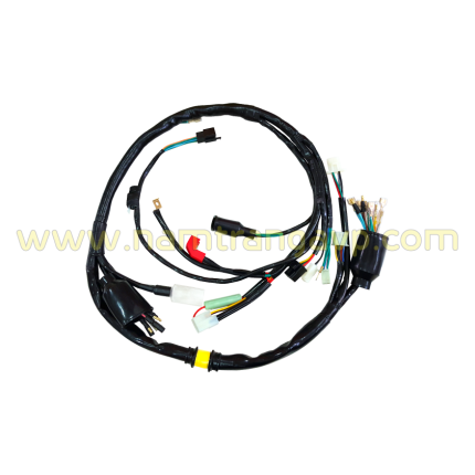 AV-DS1 Dây điện sườn Dream Nhật (Dream Thái)